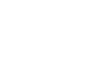2025 Foundation Logo White